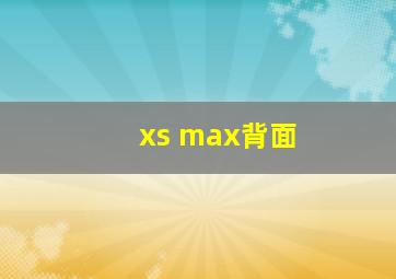 xs max背面